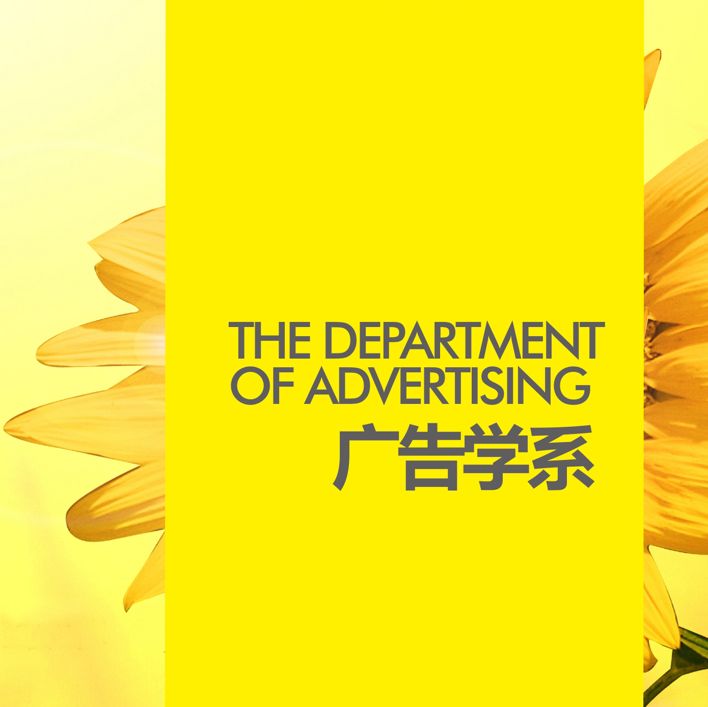 广告学系简介