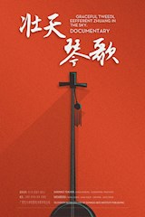 纪录片《壮天琴歌》
